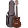 Santana U6 concert ukulele pakke
