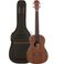 Santana U6 bariton ukulele pakke