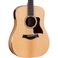 Taylor Academy 10e TL-ACADEMY10-E walnut-spruce