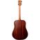 Martin D-10E Sitka western-guitar