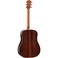 Taylor 810e western-gitar