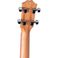 Taylor GS Mini-e Bass Sapele akustisk bass